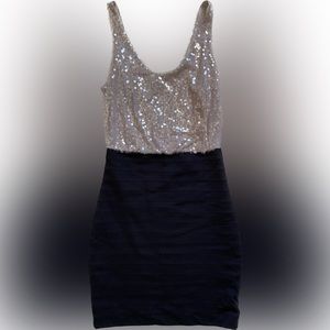 Express Bodycon Sequin Dress